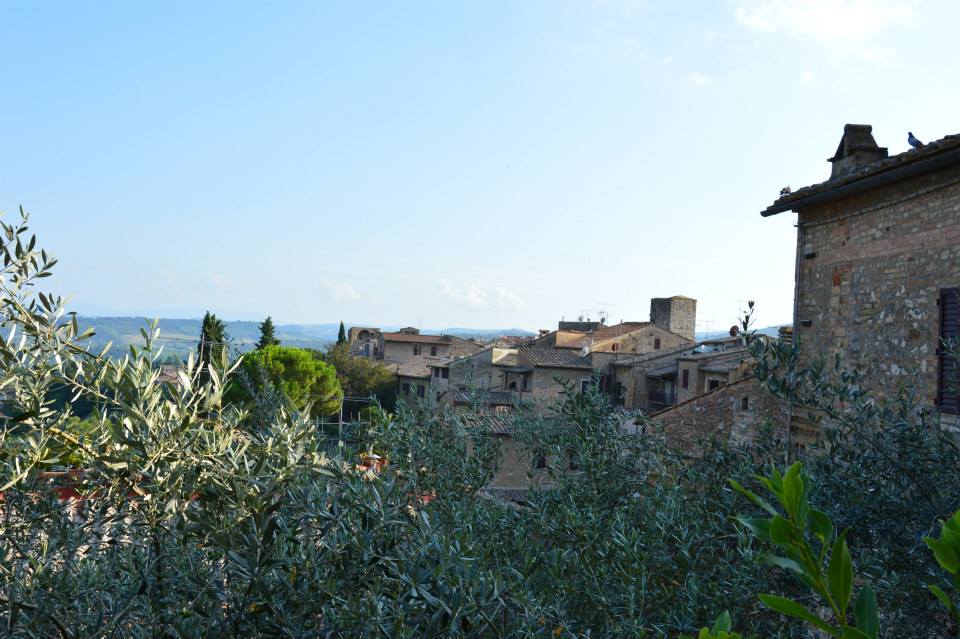 Roofs of San Gimignano