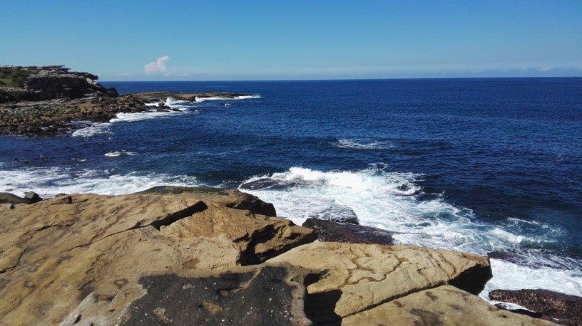 bondi plaze