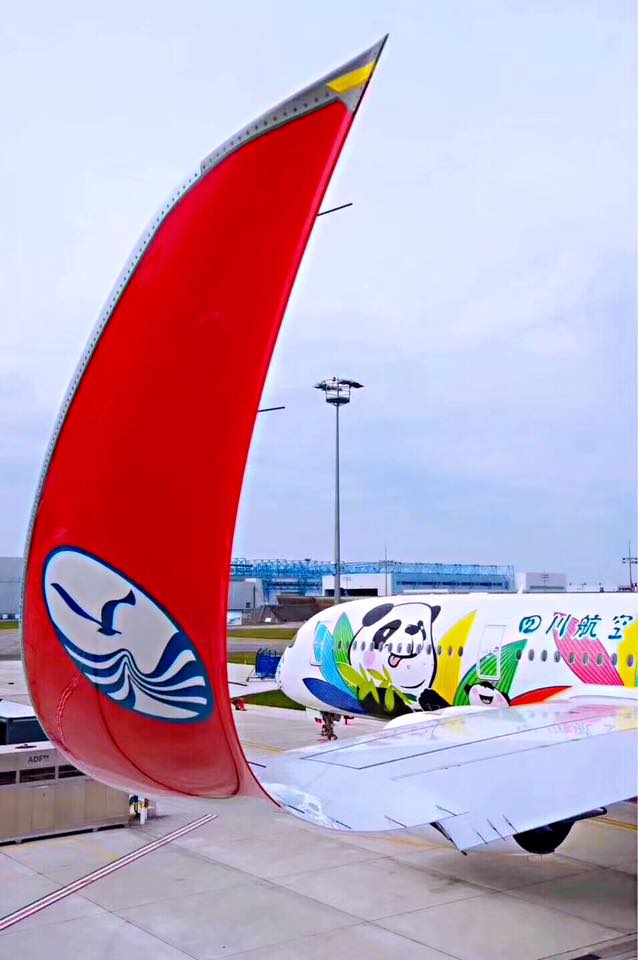 Jedna panda, druhá panda, pandy všade. Alebo novinky od Sichuan Airlines