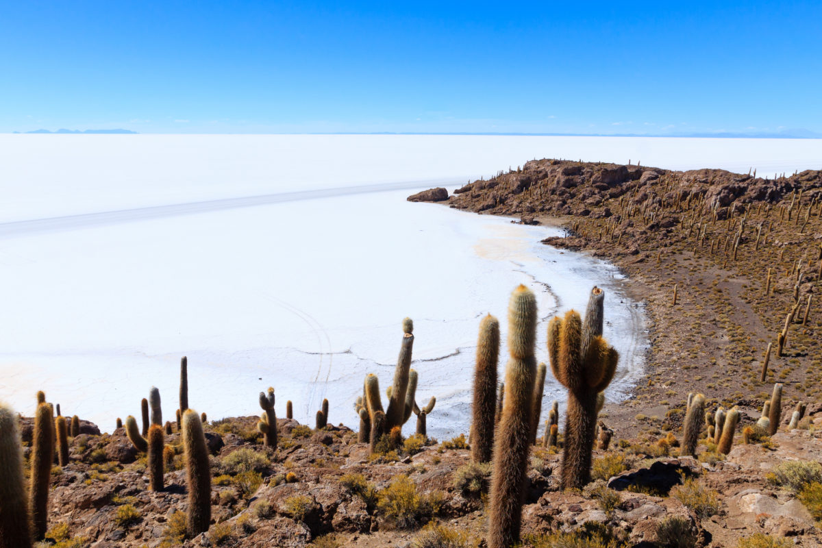 Tenerife i ľadové medvede. 7 divov sveta v roku 2019