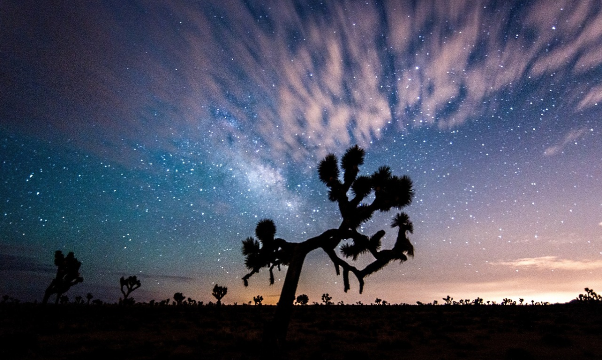 Národný park Joshua Tree 15 surreálnych miest v Kalifornii, ktoré vás prenesú do iného sveta