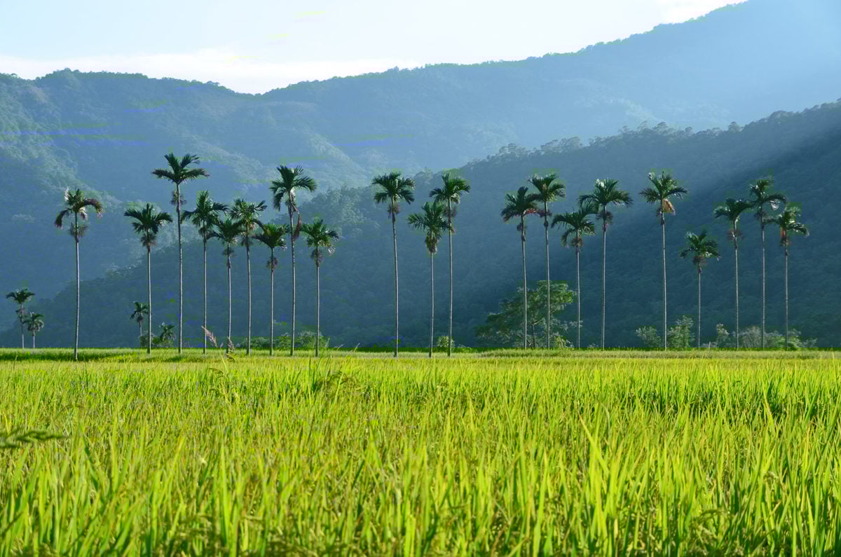 Taiwan_cover Taiwan: Krásy Ázijského ostrova, ktoré ti nemôžu ujsť + letenky od 529€