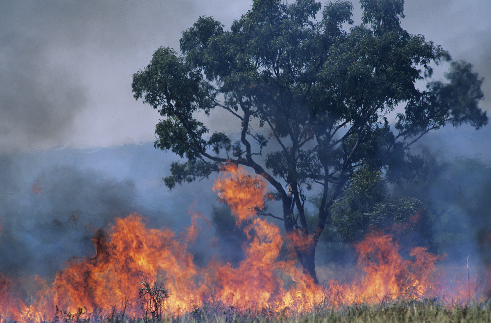 poziare 2020 australia Sú požiare v Austrálii Černobylom klimatickej krízy? píše New York Times