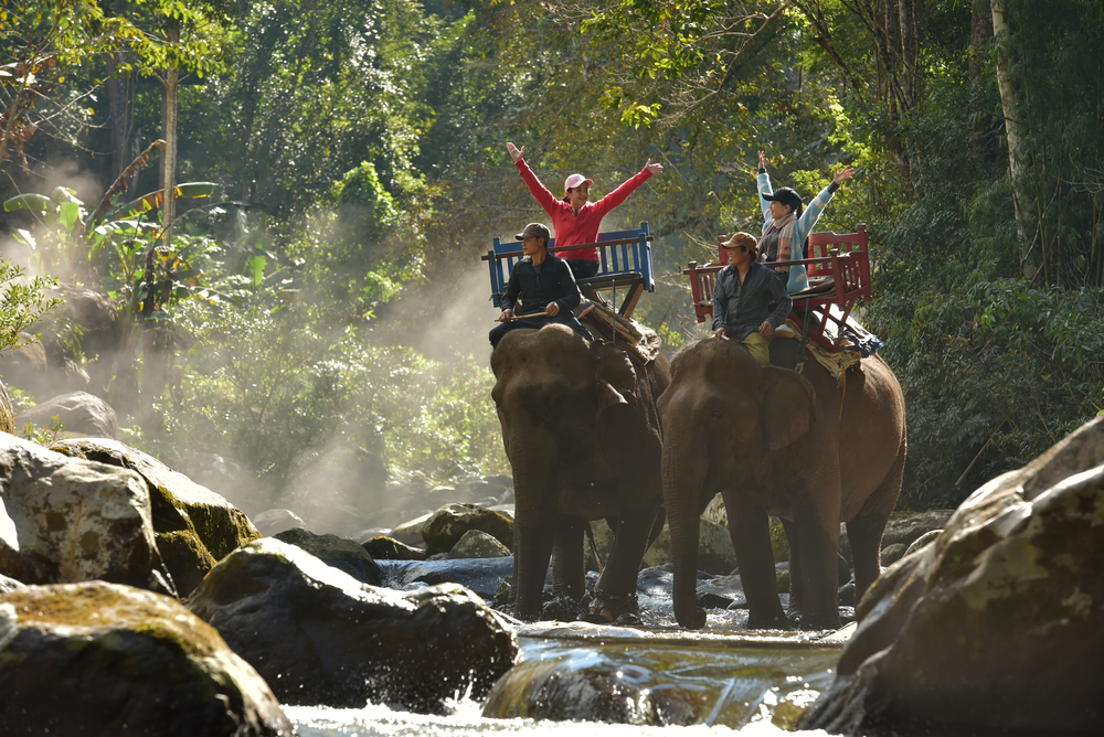 Srí Lanka sprísnila ochranu slonov. Opití turisti sa už na nich neodvezú