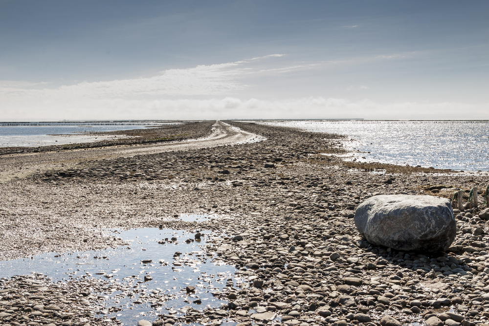 UNESCO park Wadden Sea v Dánsku bude mať unikátnu vyhliadkovú vežu. Pribudne aj veľký kemp pre karavany