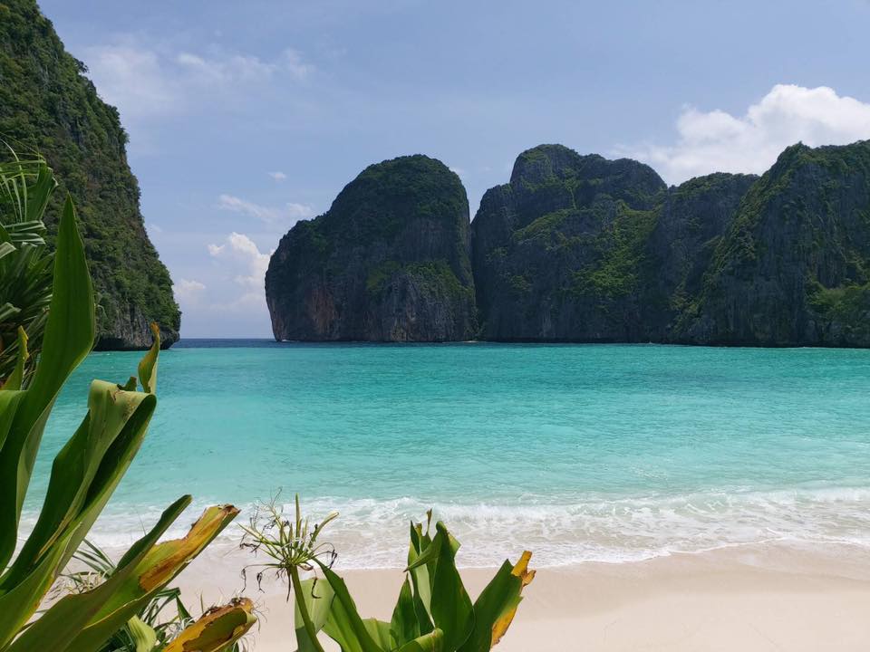 maya bay