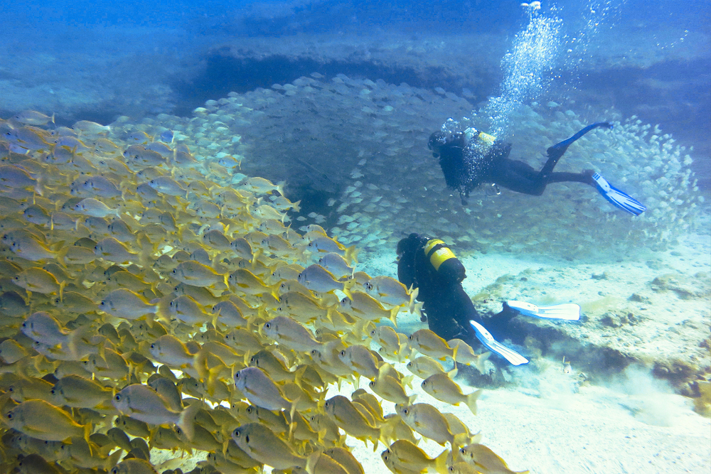 gran canaria potapaci