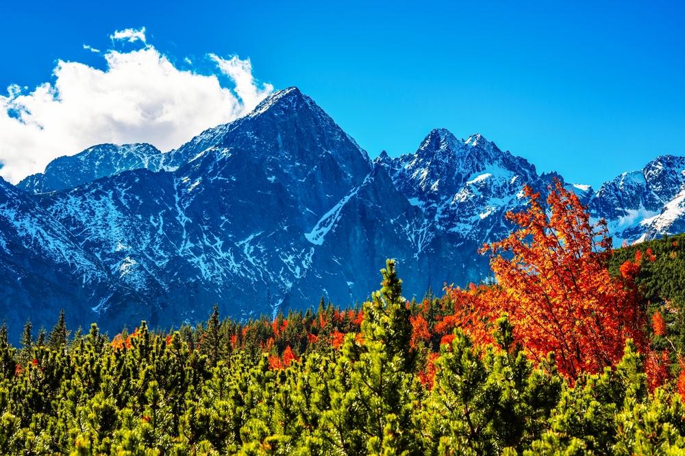 Tri Studničky, Hotel Ostredok i apartmány Lúčky. Pobyty, ktoré najviac zlacneli: rezervuj od 149€!