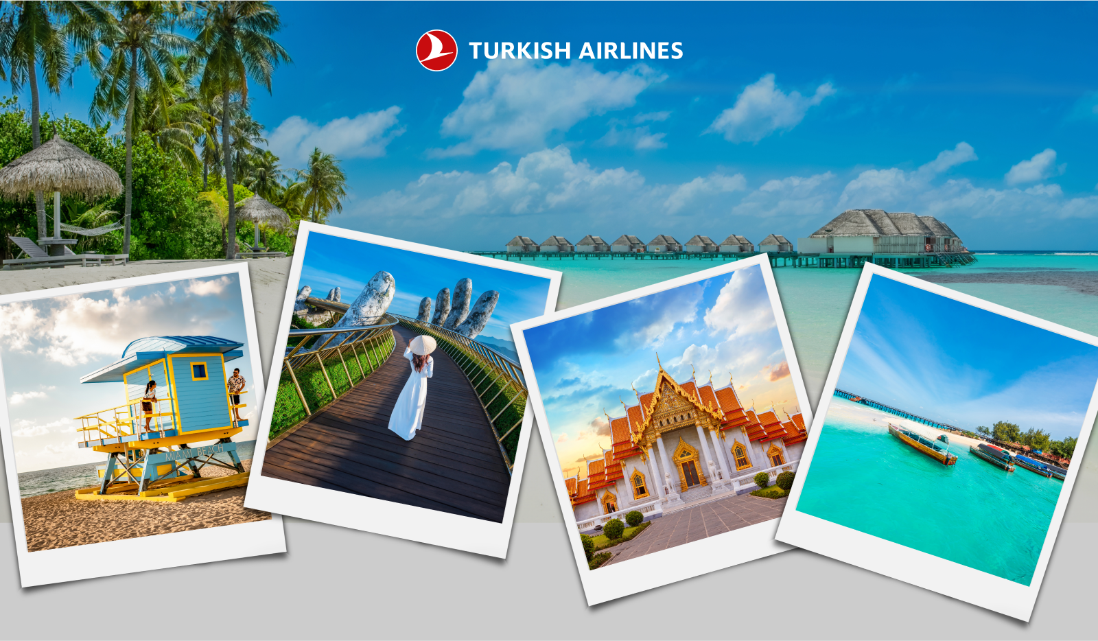 turkish airlines ekonomicka trieda