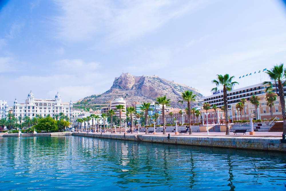 Promenade,With,Palm,Trees,In,The,Port,Of,Alicante,In promenada v alicante