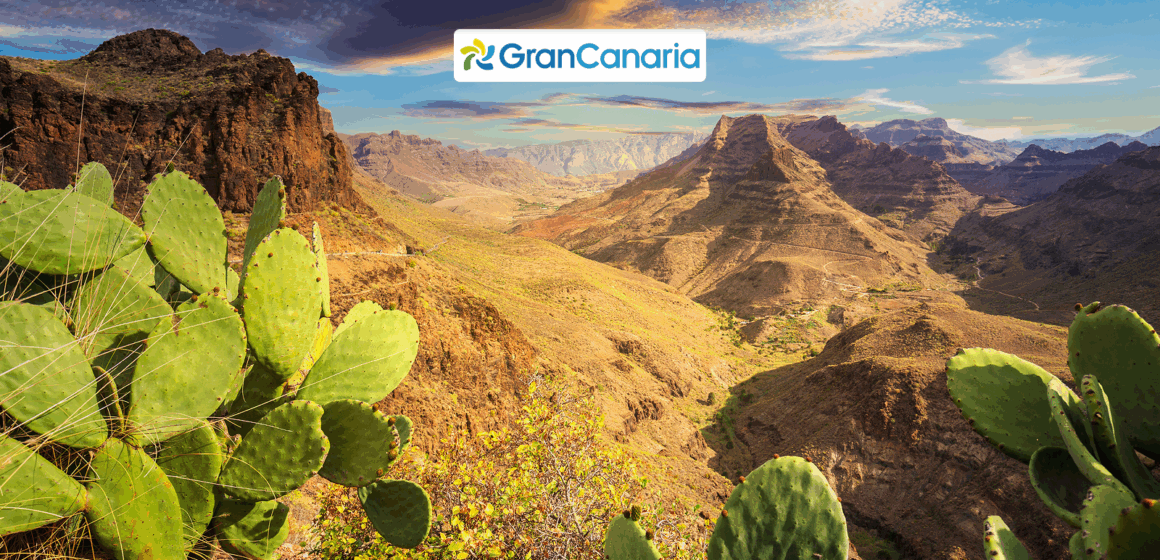 pelipecky 1600x933 (55) 10 zážitkov, ktoré si na Gran Canarii nemôžeš nechať ujsť