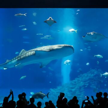 Okinawa: Havaj Japonska, kde čas plynie pomalšie a život dlhšie (REPORTÁŽ)