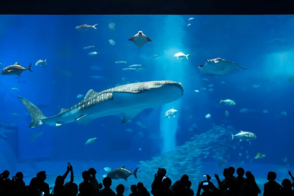 Okinawa: Havaj Japonska, kde čas plynie pomalšie a život dlhšie (REPORTÁŽ)