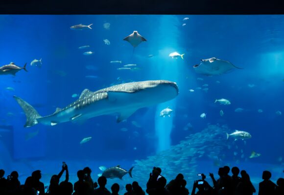 Okinawa: Havaj Japonska, kde čas plynie pomalšie a život dlhšie (REPORTÁŽ)