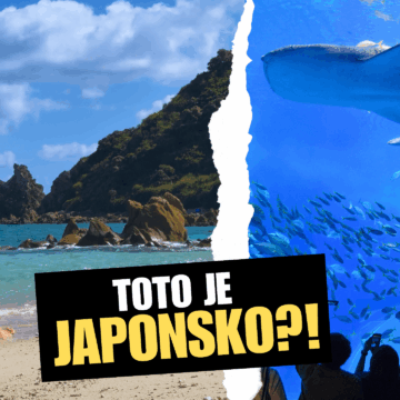Havaj Japonska? Takto sme prešli Okinawu (NOVÝ VLOG)