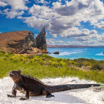 Ekvádor ťa ohúri dažďovými pralesmi a pestrou kultúrou: letenky s veľkou batožinou od 749€